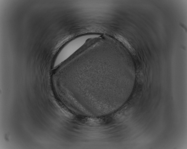 X0000095670442200801221207