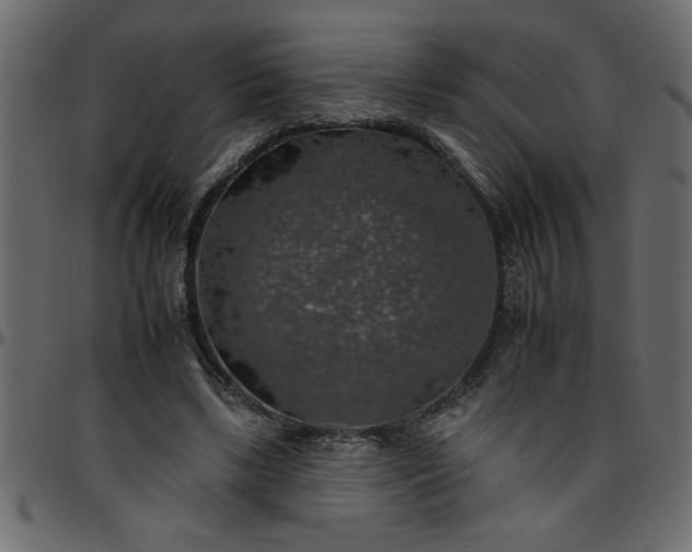 X0000095670443200801221207