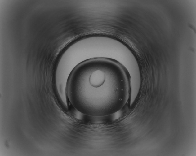 X0000095670444200801221207