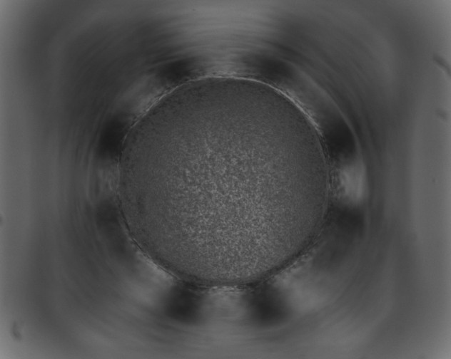 X0000095670445200801221207