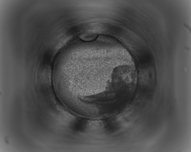 X0000095670446200801221207