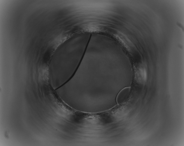 X0000095670447200801221208