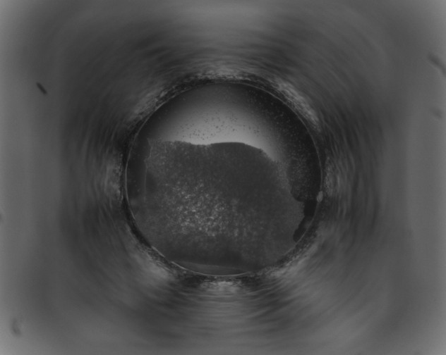 X0000095670449200801221208