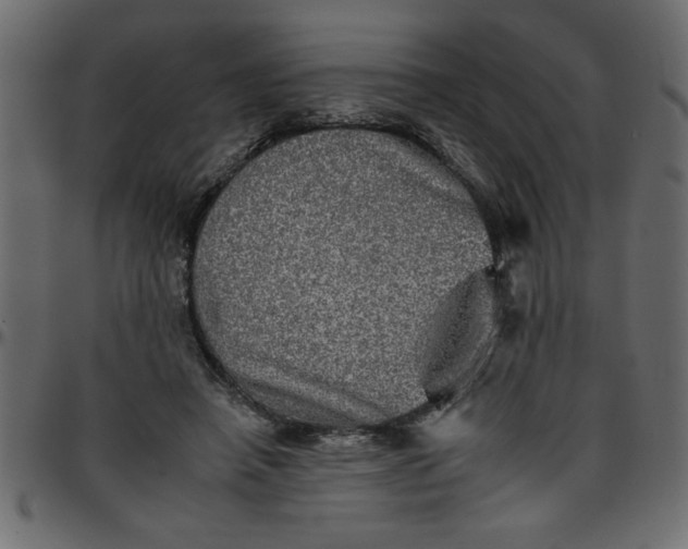 X0000095670450200801221208