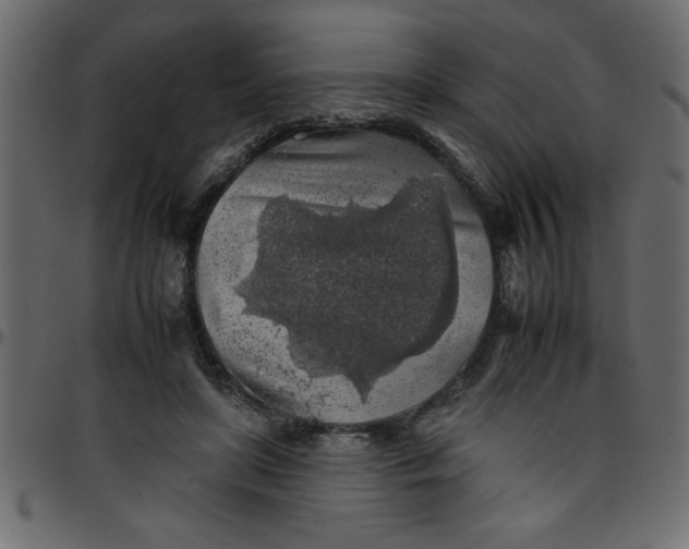 X0000095670451200801221208