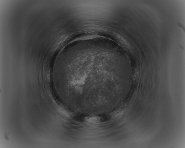 X0000095670452200801221208