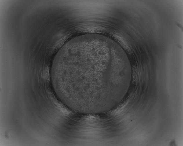 X0000095670453200801221208