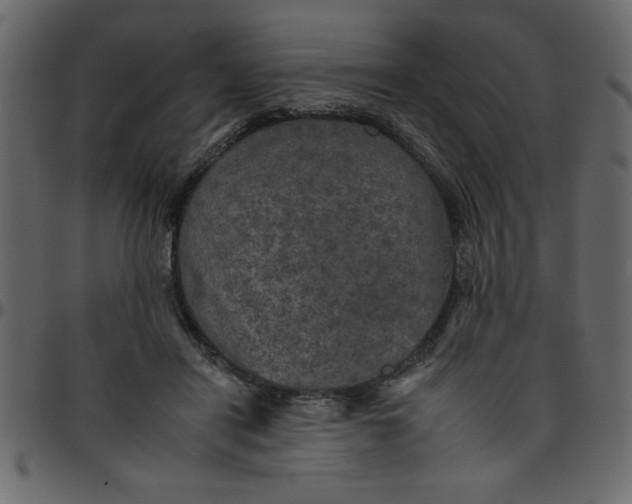 X0000095670454200801221208