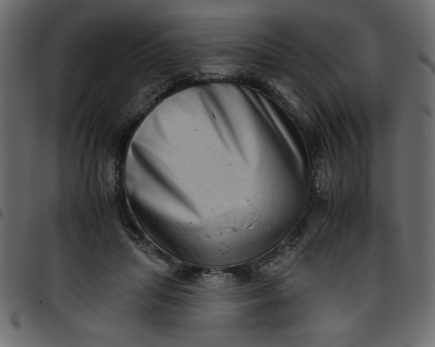 X0000095670455200801221208