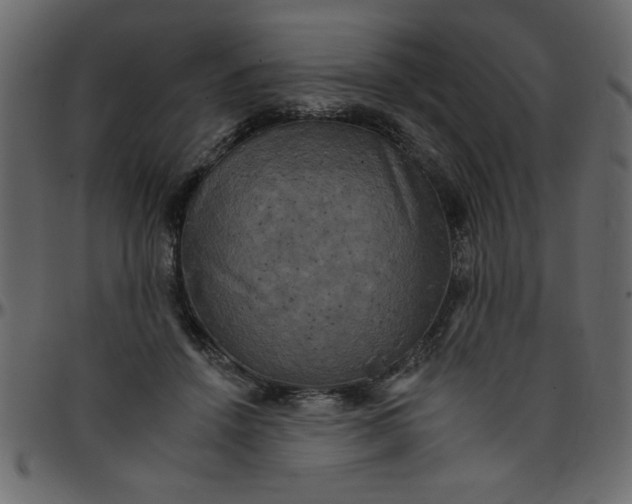 X0000095670456200801221208