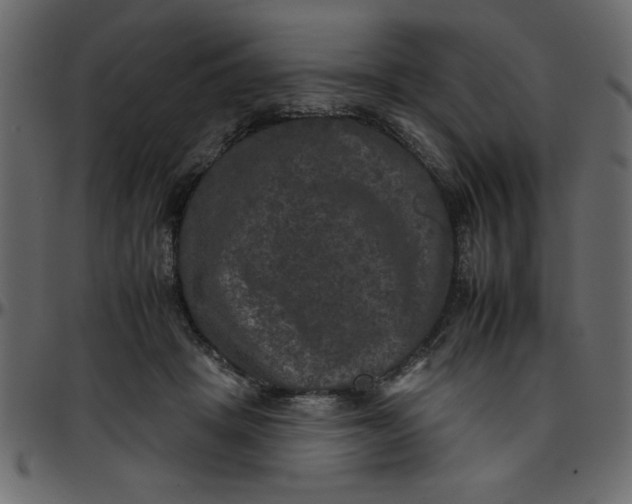 X0000095670457200801221208