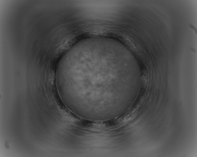 X0000095670458200801221208