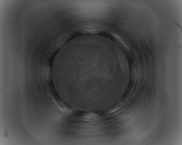 X0000095670459200801221208