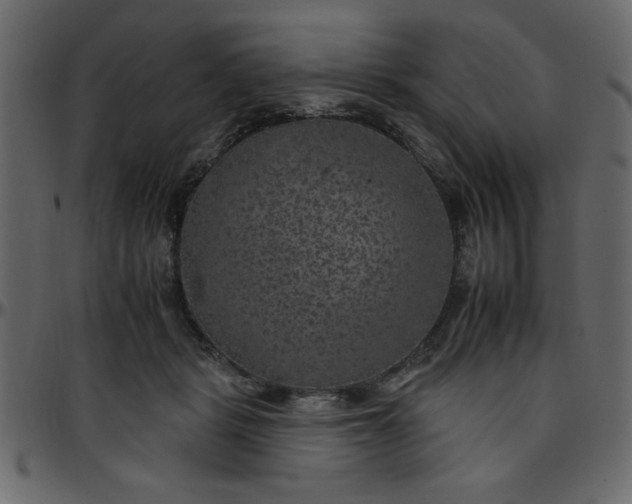 X0000095670461200801221208