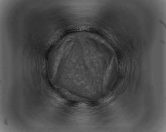 X0000095670462200801221208