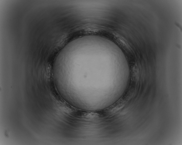 X0000095670463200801221208