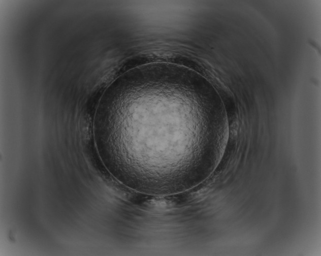 X0000095670464200801221208