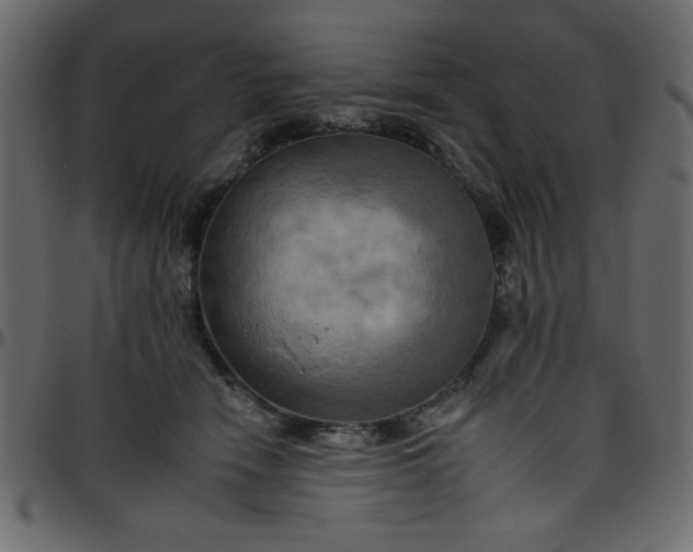 X0000095670466200801221208