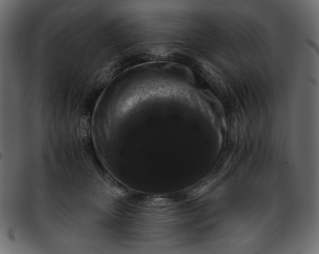 X0000095670467200801221208