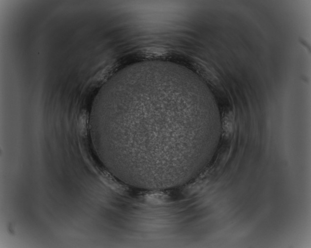 X0000095670468200801221208