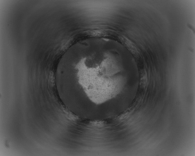 X0000095670469200801221208