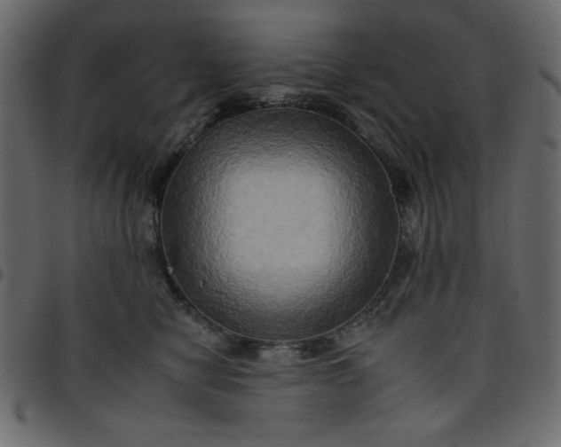 X0000095670470200801221208