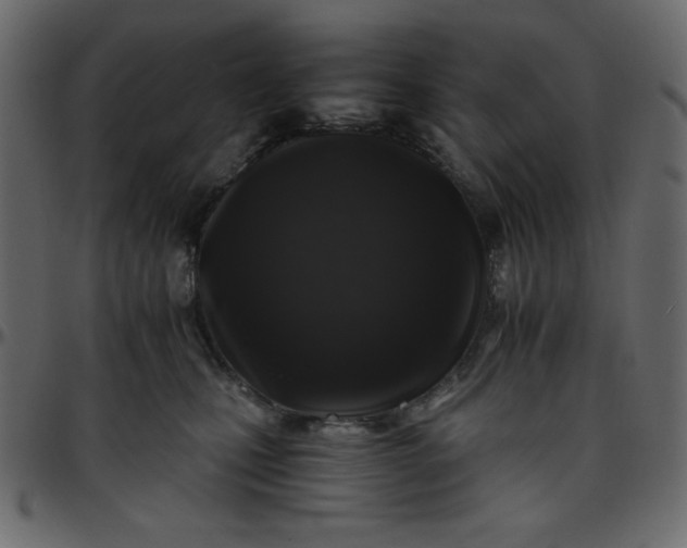 X0000095670471200801221208