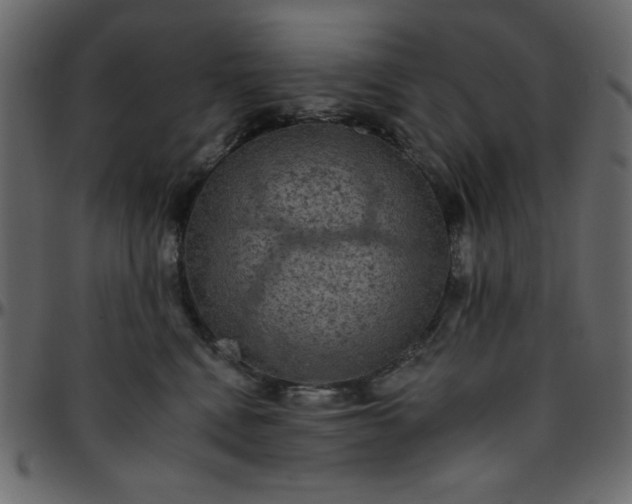 X0000095670472200801221208