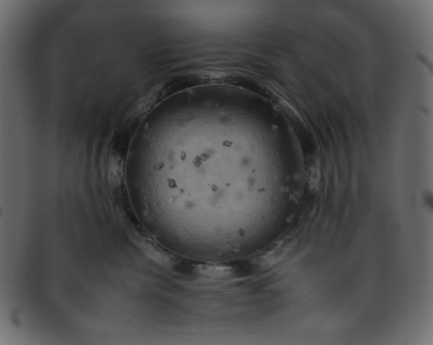 X0000095670476200801221208