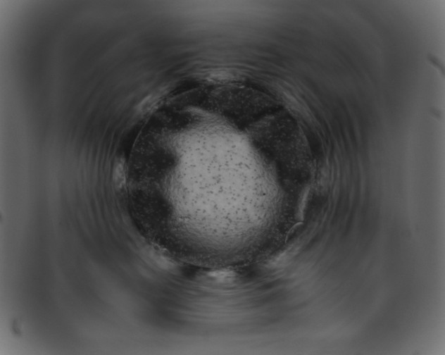 X0000095670478200801221208