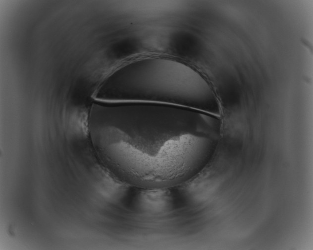 X0000095670479200801221208