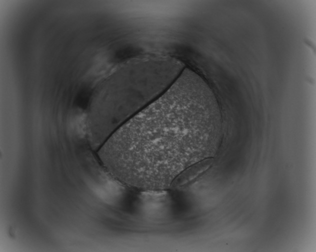 X0000095670480200801221208