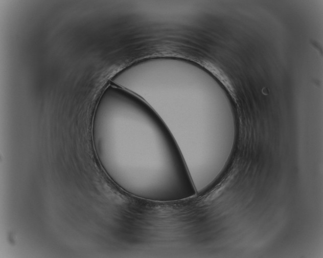 X0000095670481200801221207