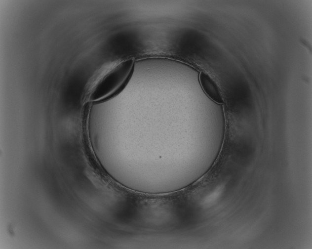 X0000095670482200801221207