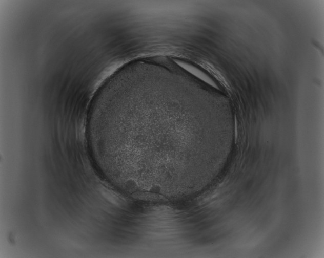 X0000095670483200801221207