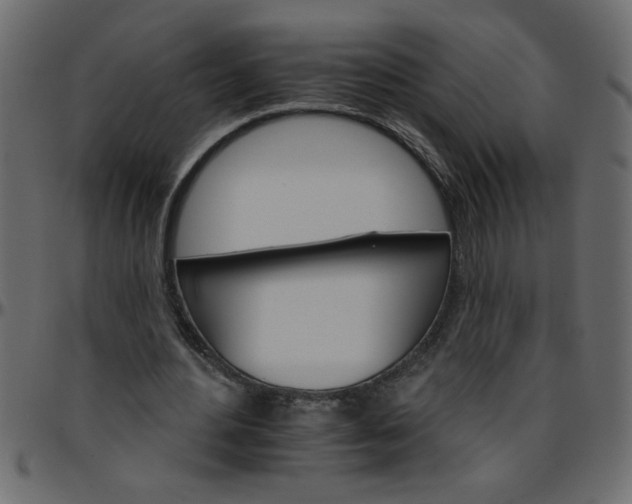 X0000095670484200801221207