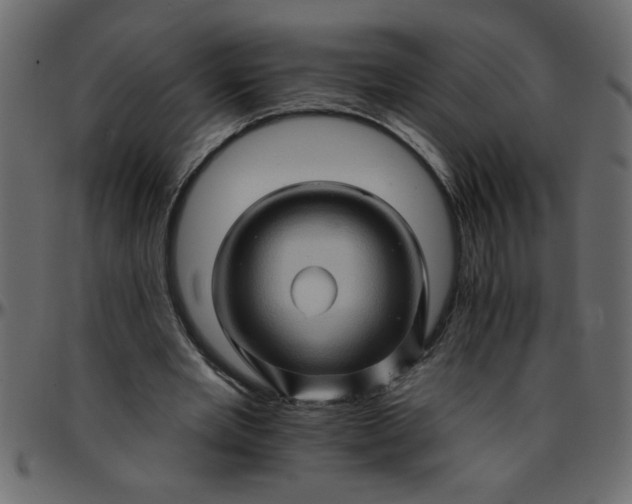 X0000095670485200801221207