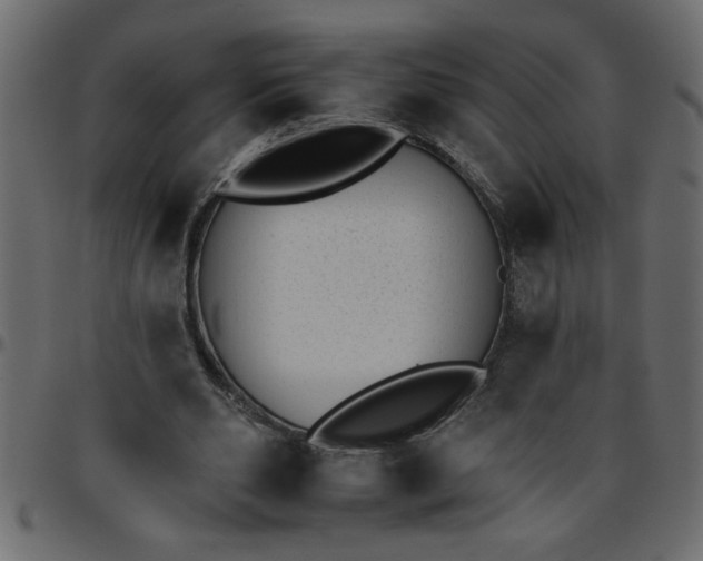 X0000095670486200801221207