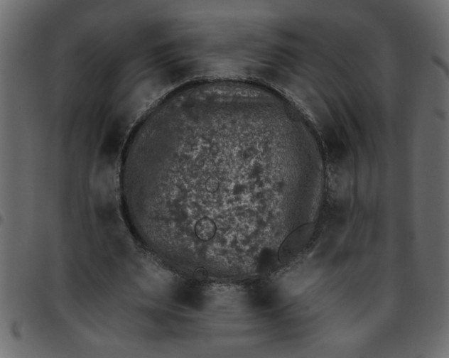 X0000095670487200801221207