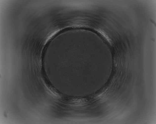 X0000095670488200801221207