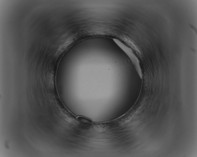 X0000095670489200801221207