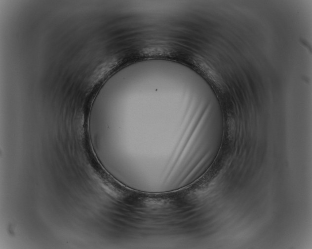 X0000095670490200801221207