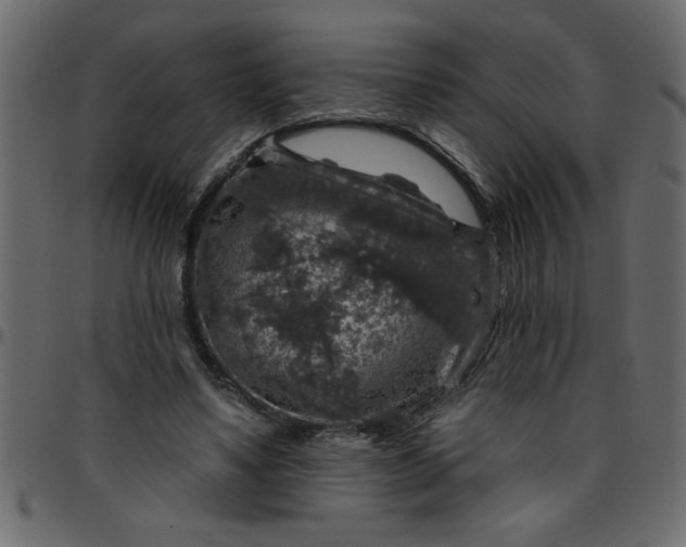 X0000095670491200801221207