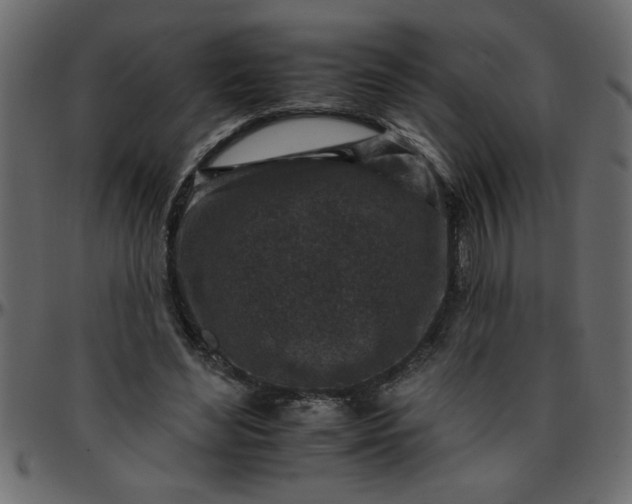 X0000095670492200801221207