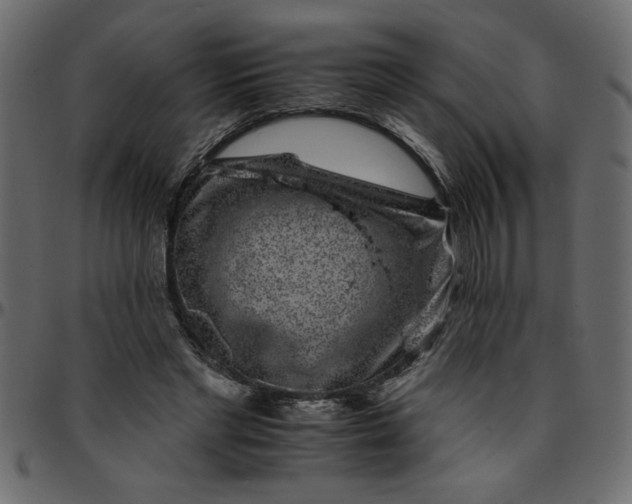 X0000095670493200801221207