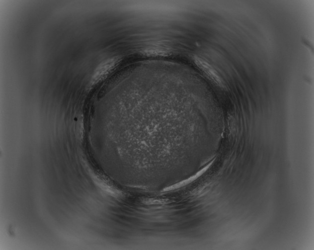 X0000095670494200801221207