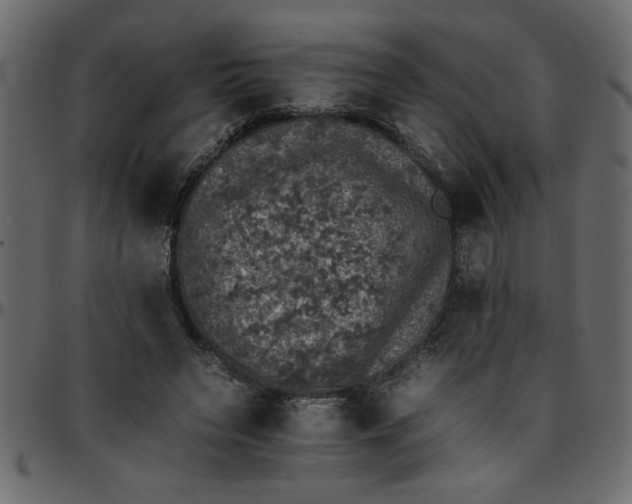 X0000095670495200801221207