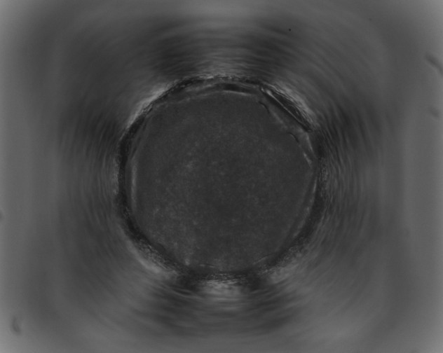 X0000095670496200801221207