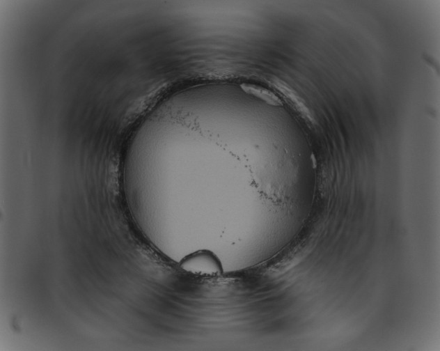 X0000095670497200801221207