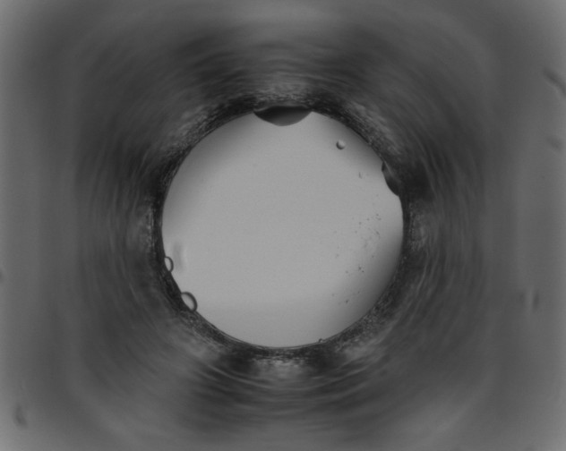 X0000095670498200801221207